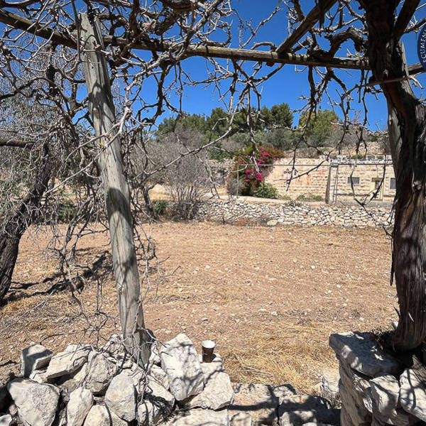 Biblical Garden