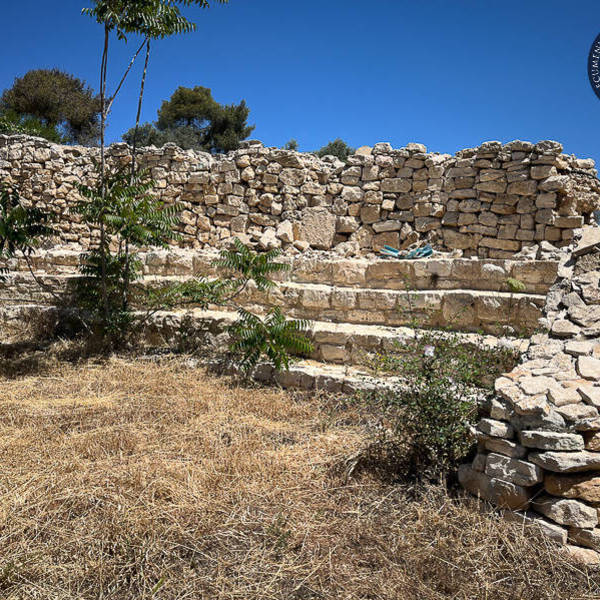 Biblical Garden