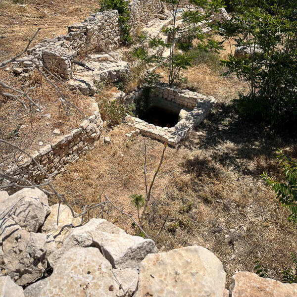 Biblical Garden