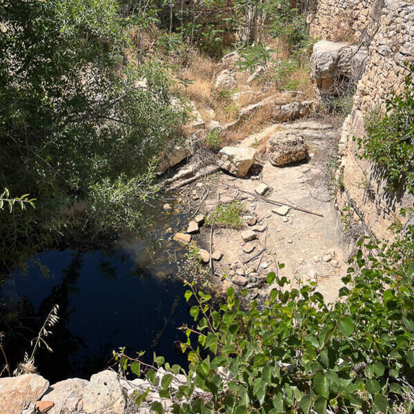 Biblical Garden