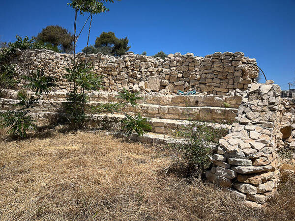 Biblical Garden