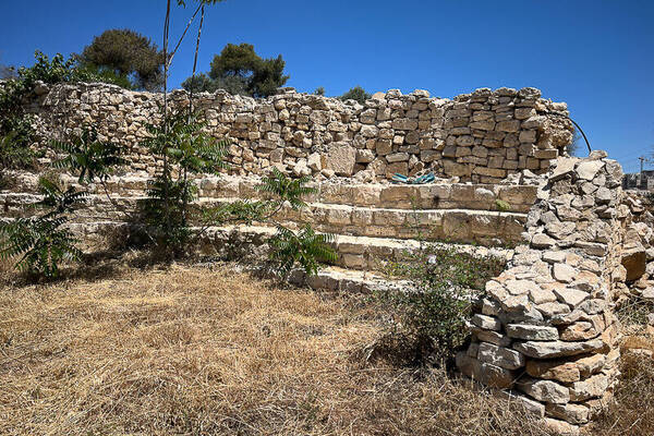 Biblical Garden